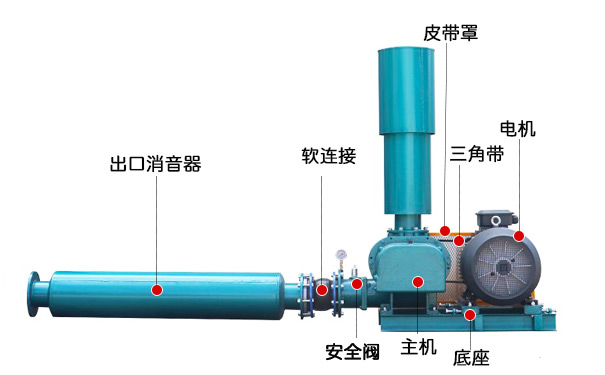 三葉羅茨鼓風(fēng)機(圖3)